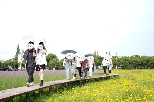 趣也青年 這個周末有點甜——戶外燒烤、游戲暢玩與花海打卡的動漫之旅